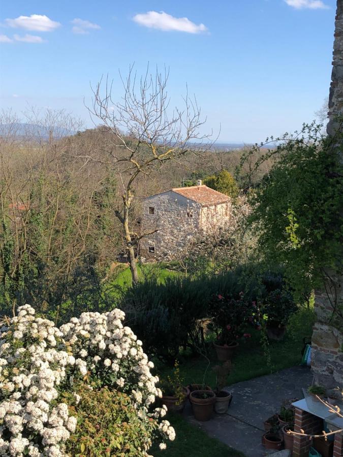 Dolce Vita In Tuscany Cottage Капанари Екстериор снимка