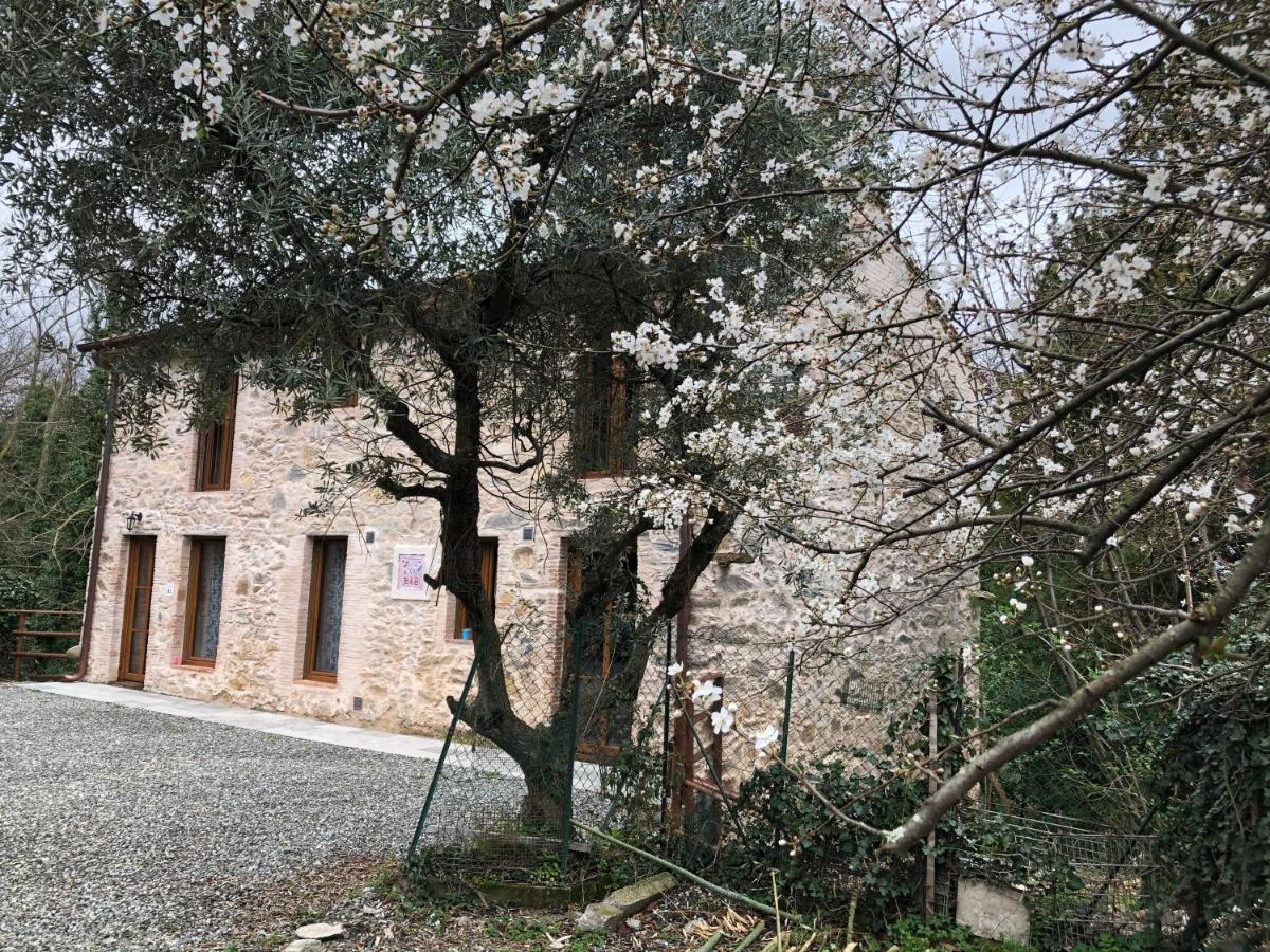 Dolce Vita In Tuscany Cottage Капанари Екстериор снимка