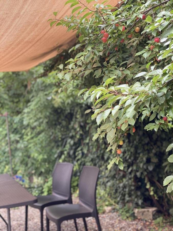 Dolce Vita In Tuscany Cottage Капанари Екстериор снимка
