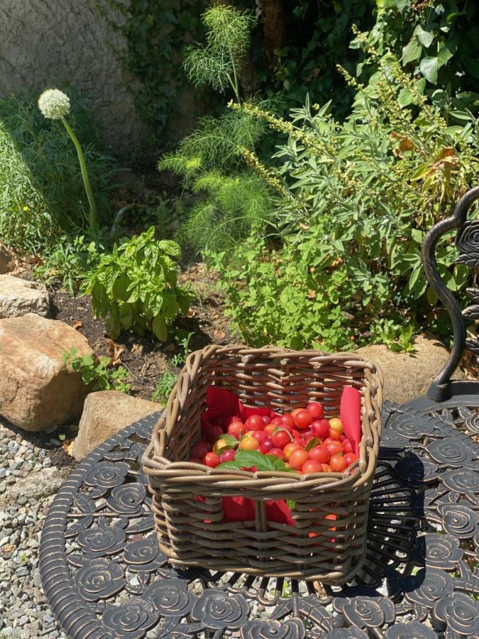 Dolce Vita In Tuscany Cottage Капанари Екстериор снимка