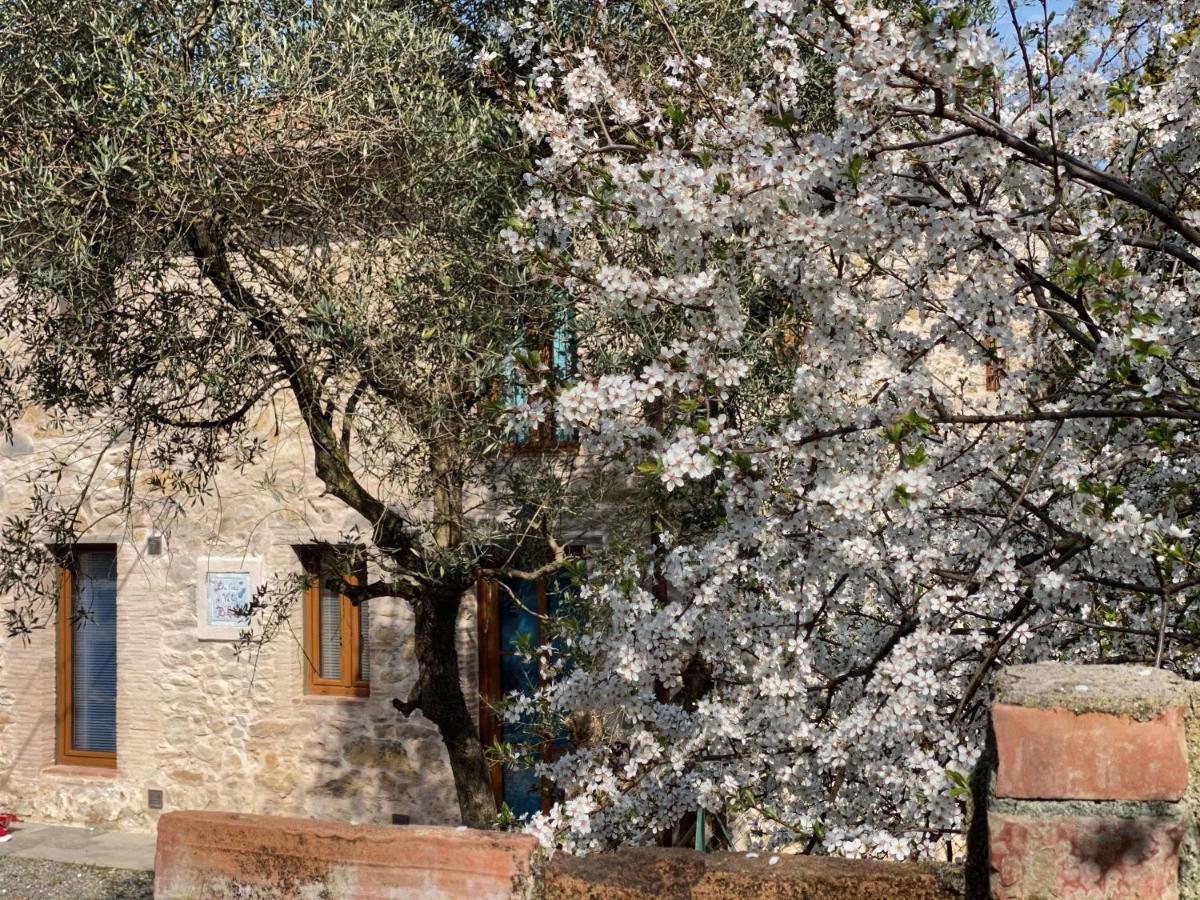 Dolce Vita In Tuscany Cottage Капанари Екстериор снимка