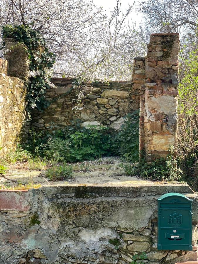 Dolce Vita In Tuscany Cottage Капанари Екстериор снимка