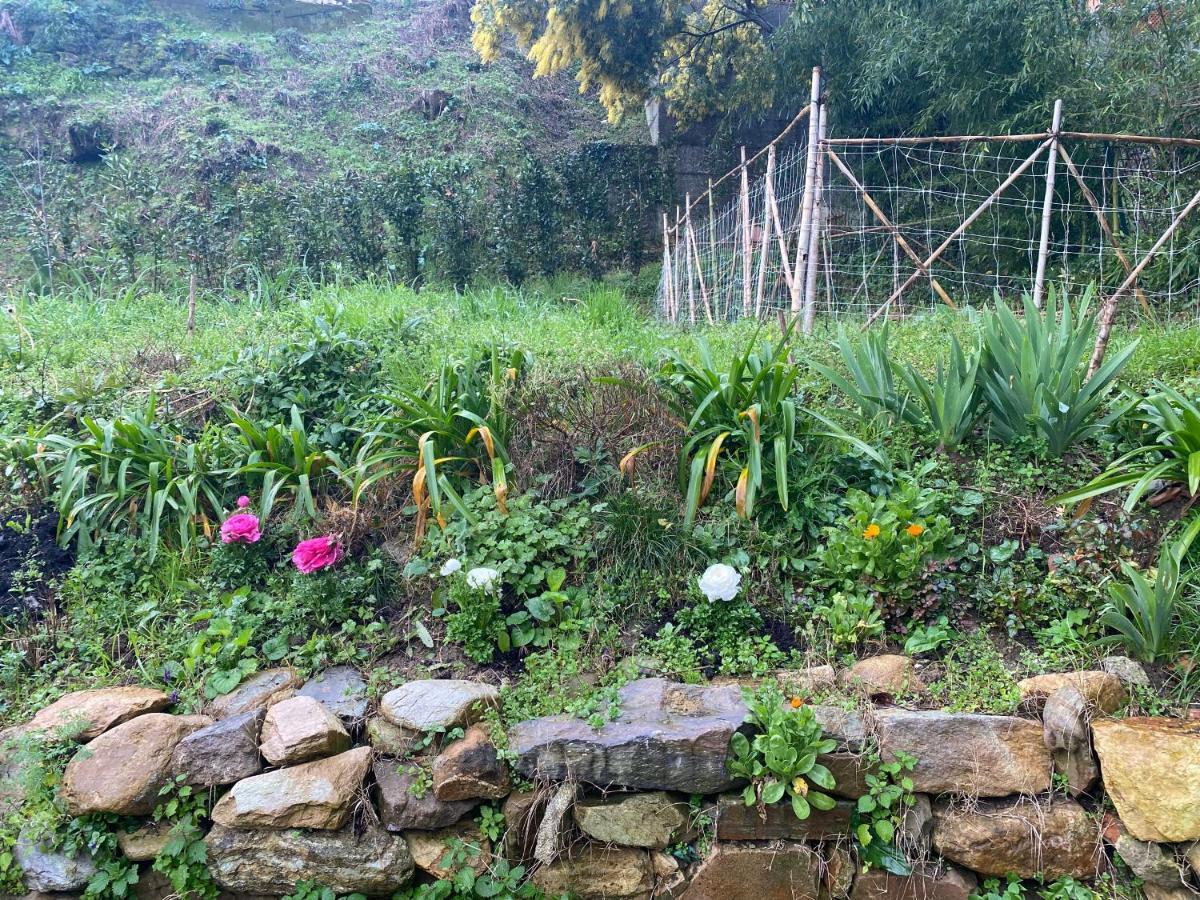 Dolce Vita In Tuscany Cottage Капанари Екстериор снимка