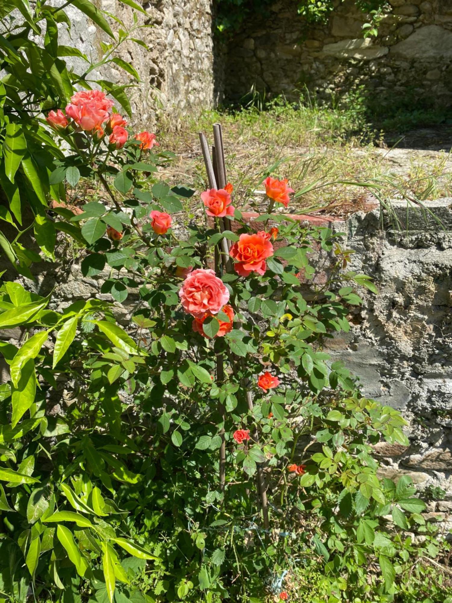 Dolce Vita In Tuscany Cottage Капанари Екстериор снимка