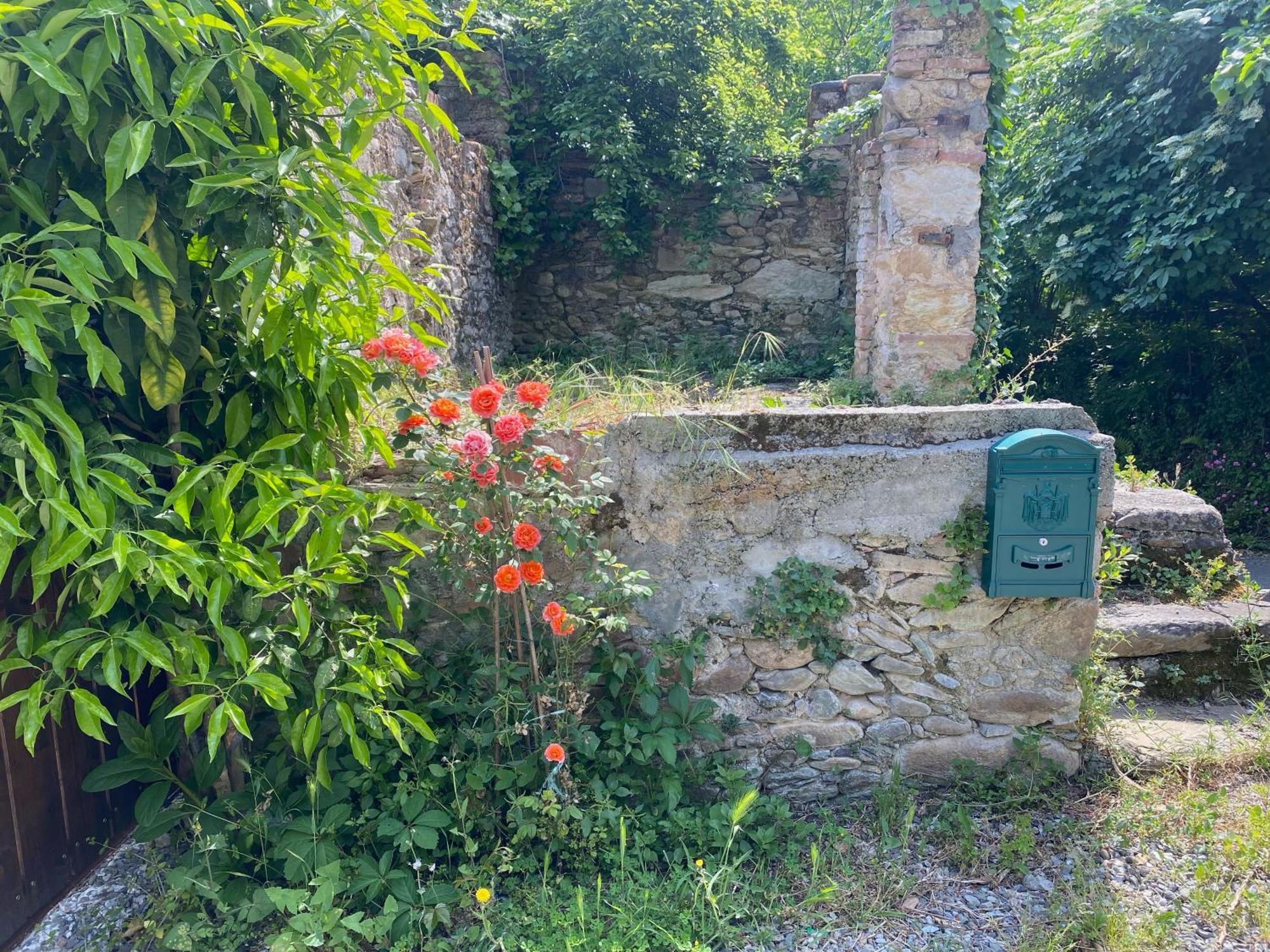 Dolce Vita In Tuscany Cottage Капанари Екстериор снимка