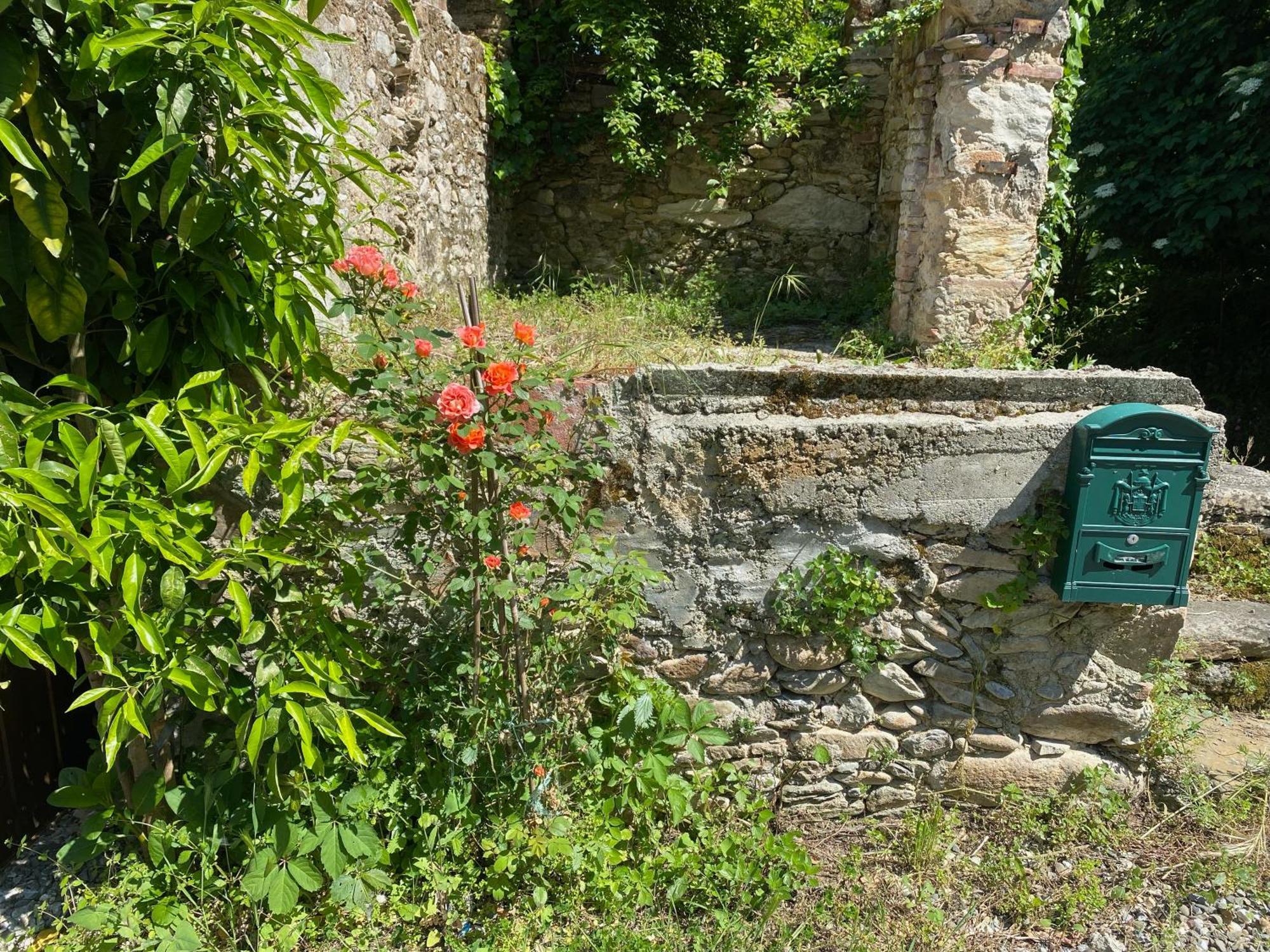 Dolce Vita In Tuscany Cottage Капанари Екстериор снимка